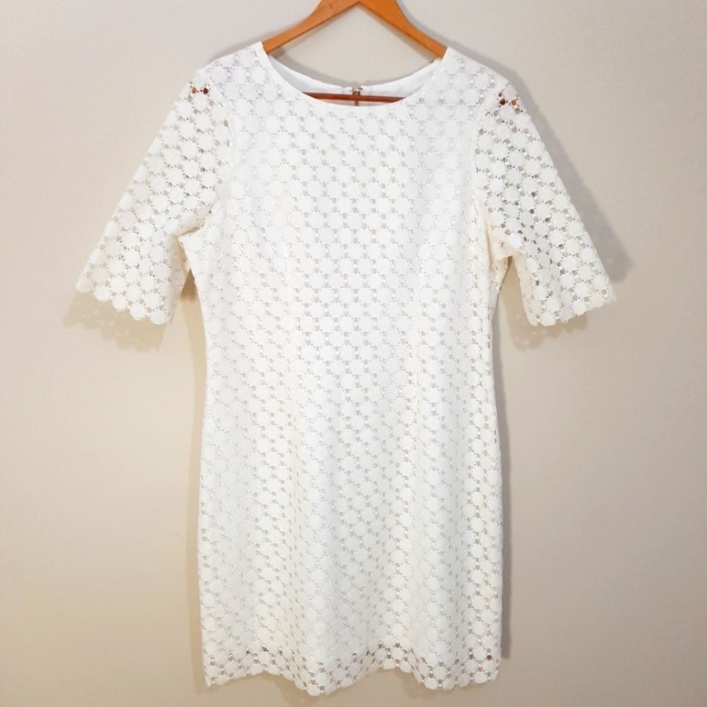 ELSEY White  LACE Mini SHIFT Dress, Sleeve, Size Large NWOT